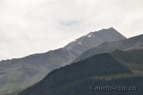 DSC_0049.jpg