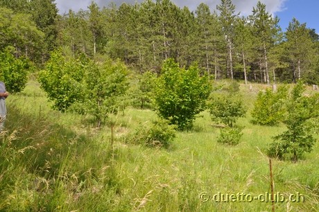 DSC_0580.jpg