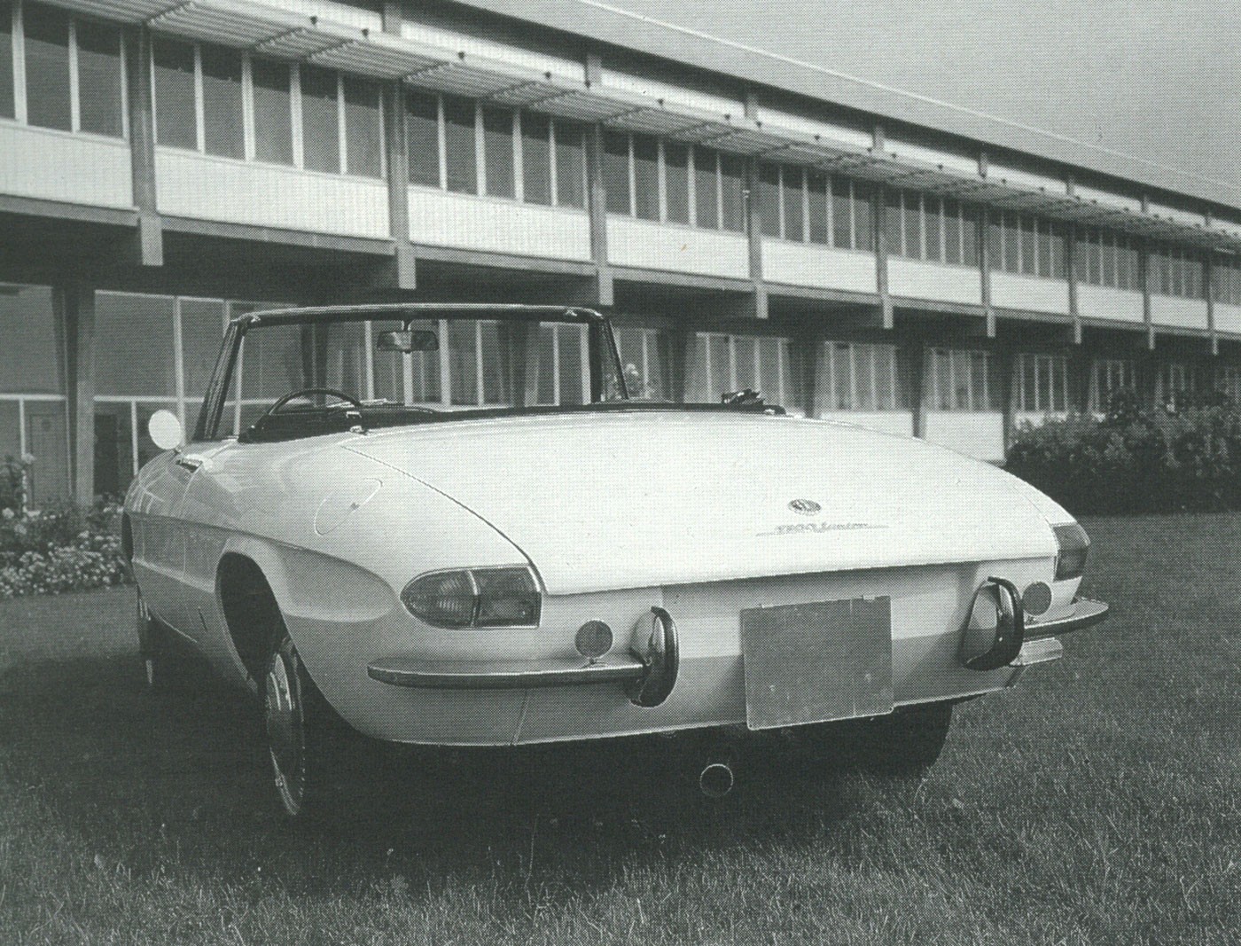 spider1300-4.jpg