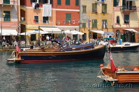 DSC_0126.jpg