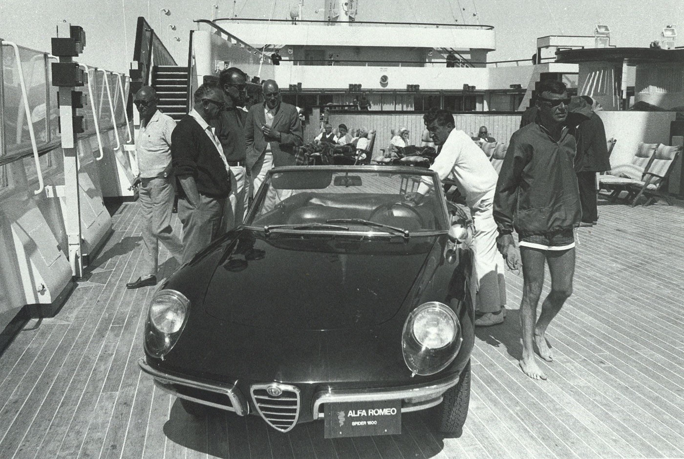 spider1600-5.jpg