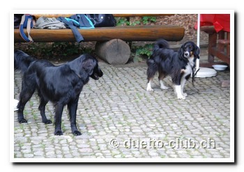 DSC_0117.jpg