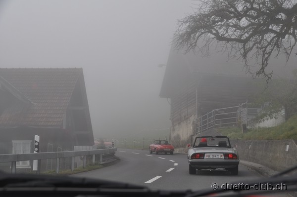 DSC_0009.jpg