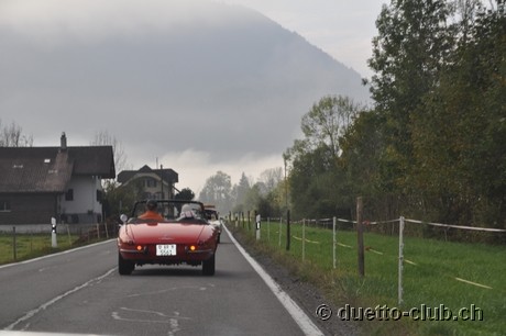 DSC_0021.jpg