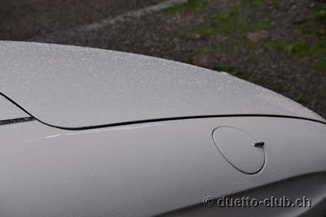 DSC_0204.jpg