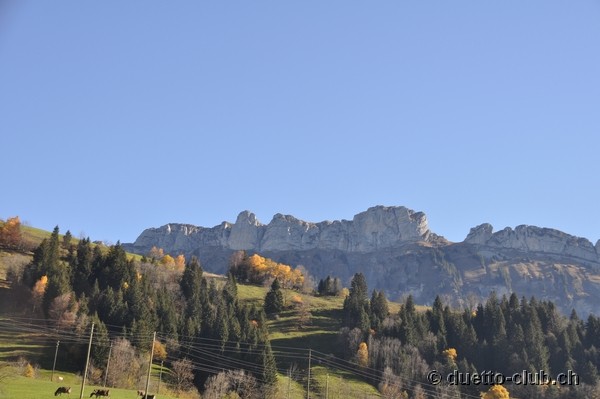 DSC_0044.jpg
