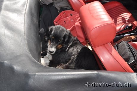 DSC_0423.jpg