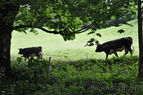DSC_0298.jpg