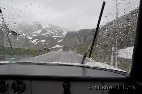 DSC_0237.jpg