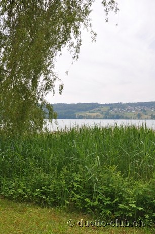 DSC_0101.jpg