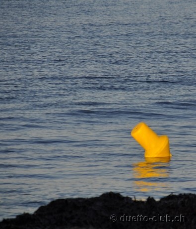 DSC_0955.jpg