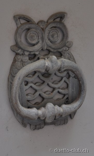 DSC_0041.jpg