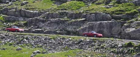 DSC_1229.jpg