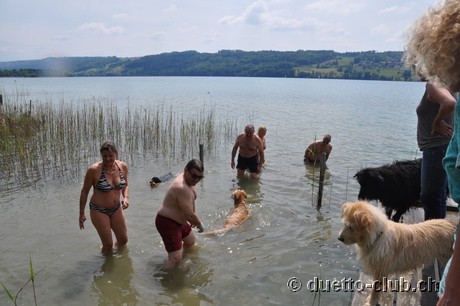 DSC_0218.jpg