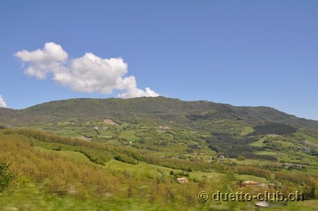 DSC_0332.jpg