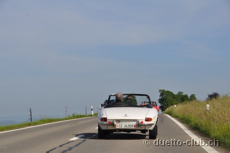 DSC_0233.jpg