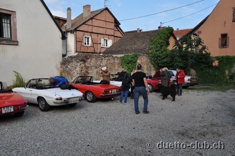 DSC_0312.jpg