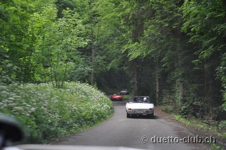DSC_0302.jpg