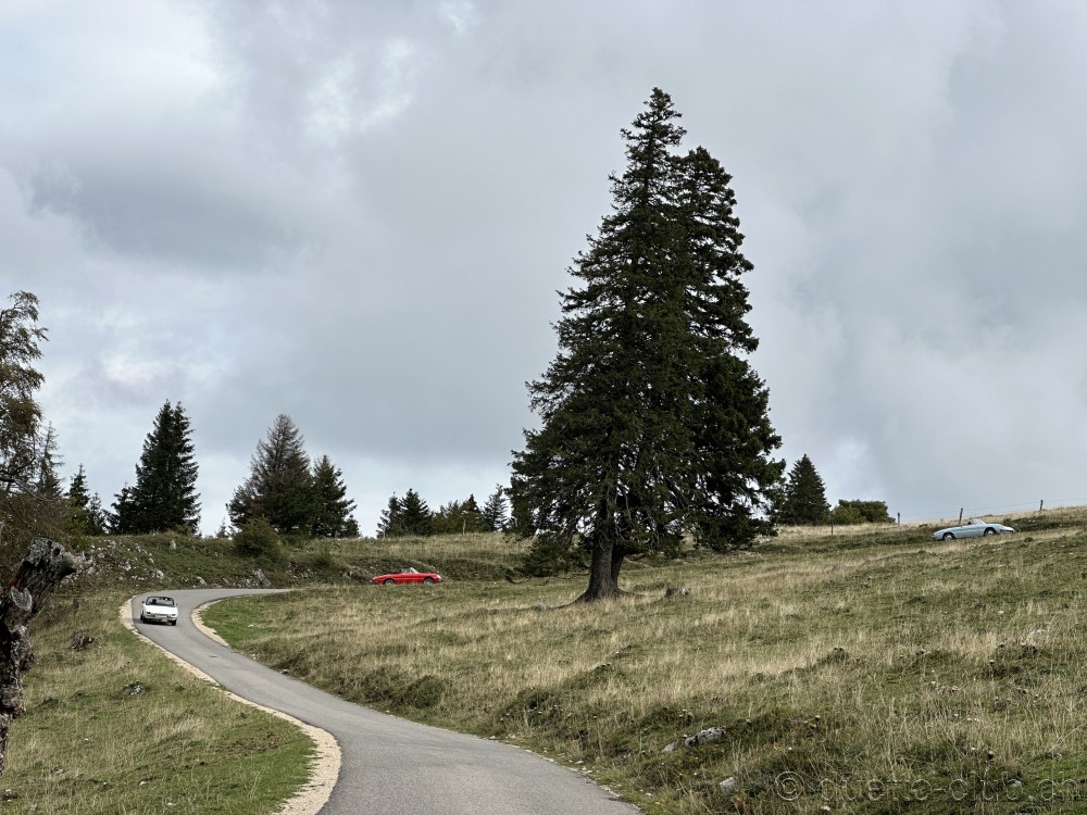 b20230923-10.jpg