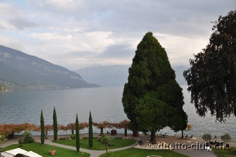 DSC_0149.jpg
