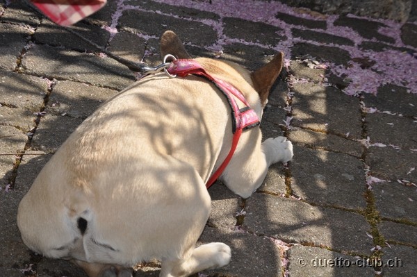 DSC_0051.jpg