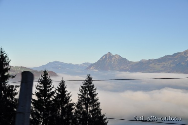 DSC_0079.jpg