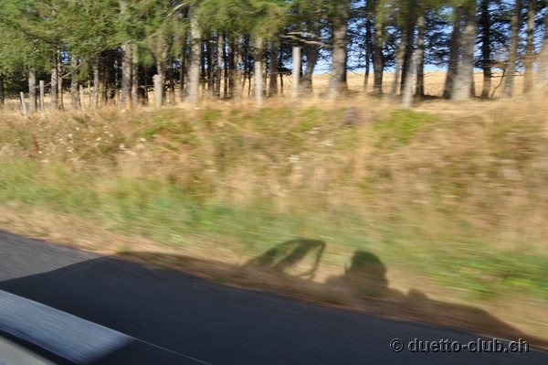 DSC_0096.jpg