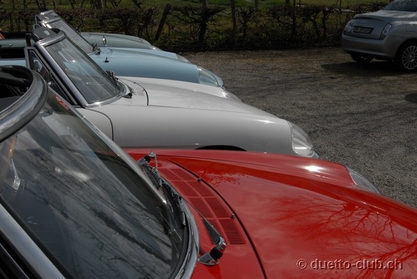 DSC_6680.jpg