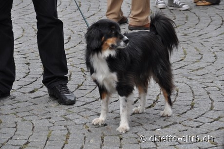 DSC_0395.jpg
