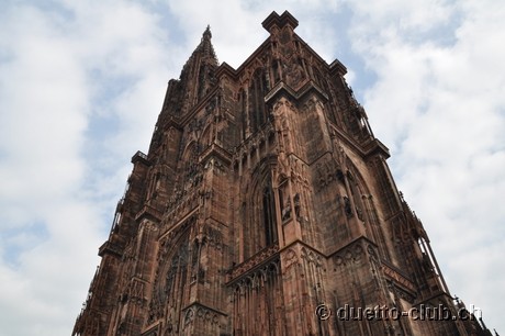 DSC_0388.jpg