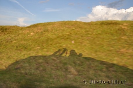 DSC_0334.jpg