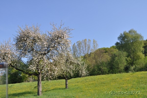DSC_0026.jpg