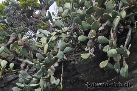 DSC_0280.jpg