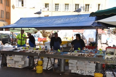 DSC_1126.jpg