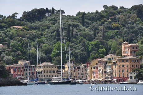 DSC_0117.jpg