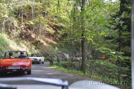 DSC_0307.jpg