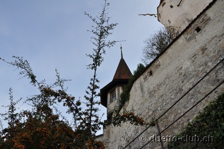 DSC_0233.jpg