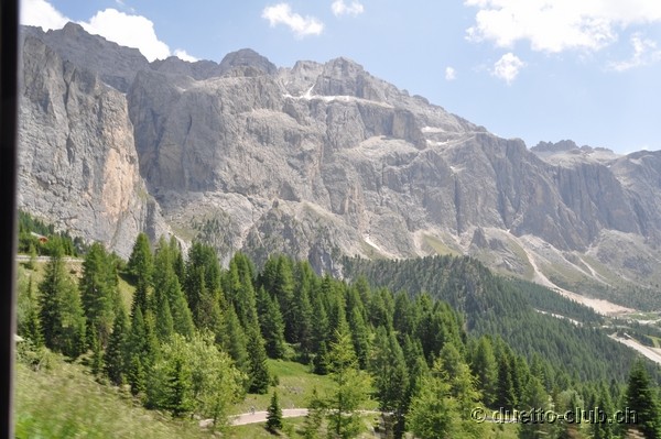 DSC_0306.jpg