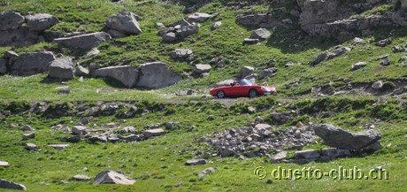 DSC_1225.jpg