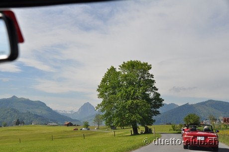 DSC_0069.jpg