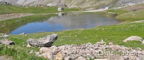 DSC_1223.jpg