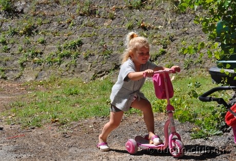 DSC_0704.jpg