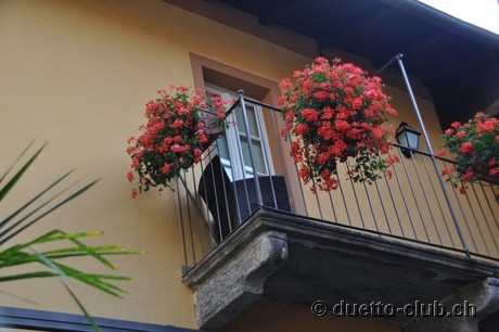 DSC_0043.jpg
