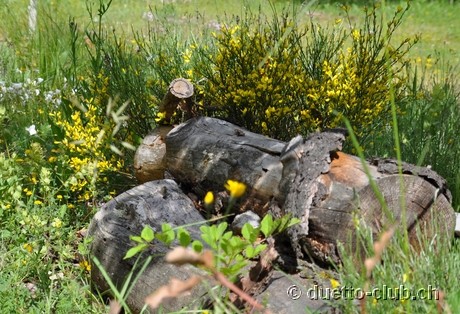 DSC_0586.jpg