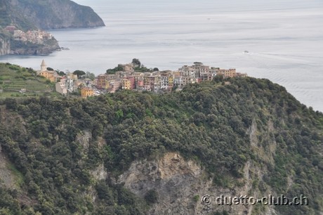 DSC_0286.jpg