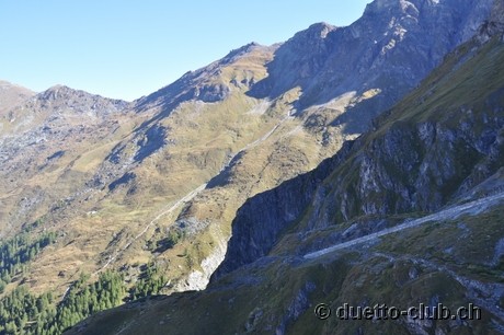 DSC_0435.jpg