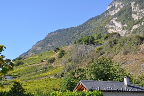 DSC_0458.jpg