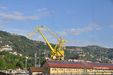 DSC_0317.jpg