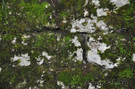 DSC_0295.jpg