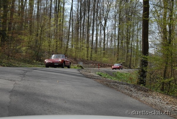 DSC_6683.jpg